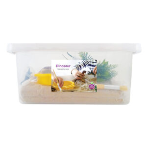 dinosaur sensory box